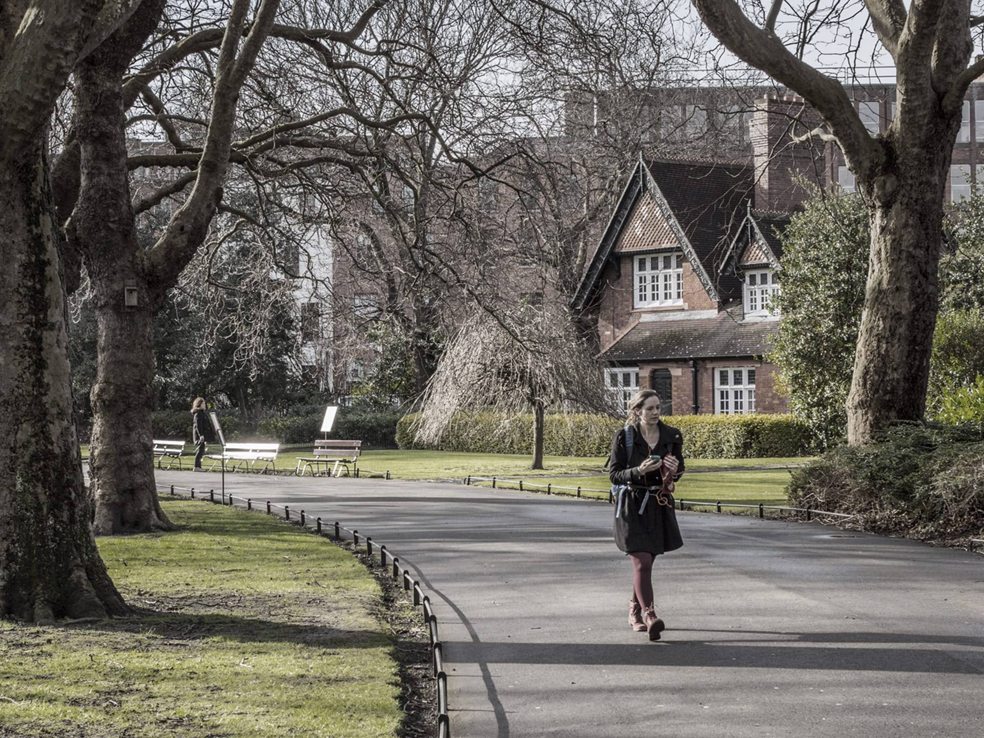 Walk in St.Stephen's green